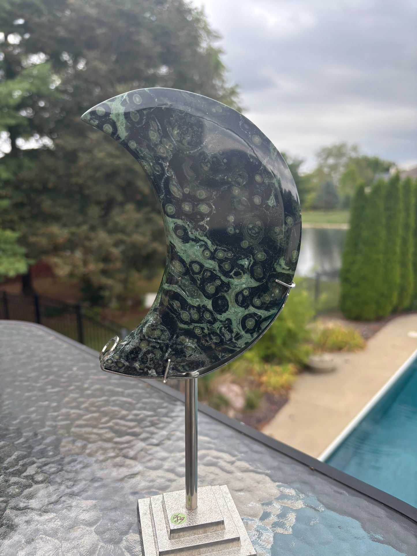 Kambaba Jasper Moon