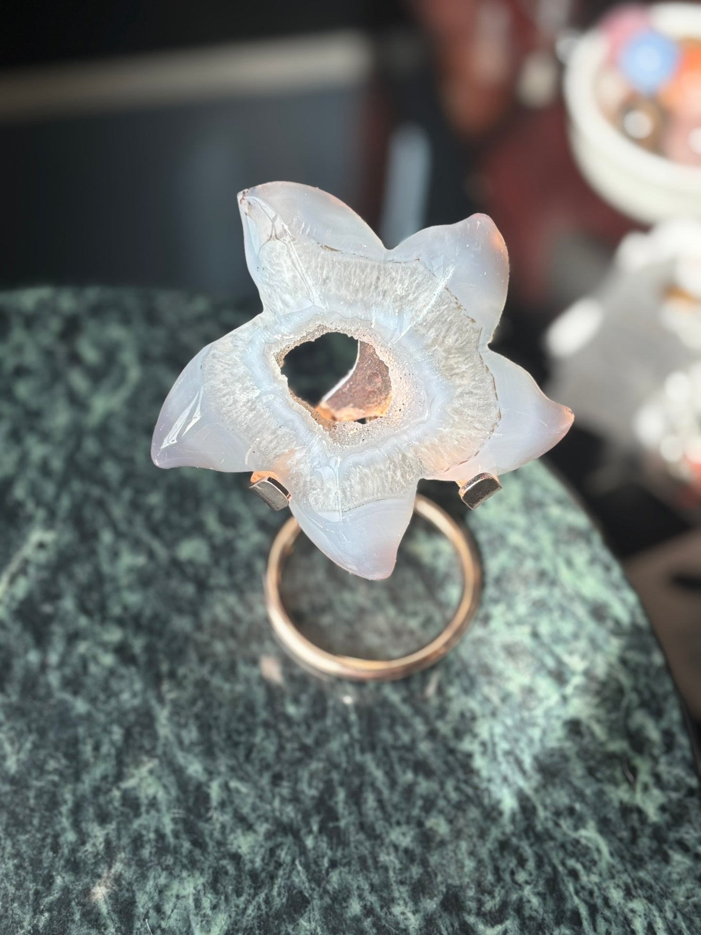 Agate Geode Starfish