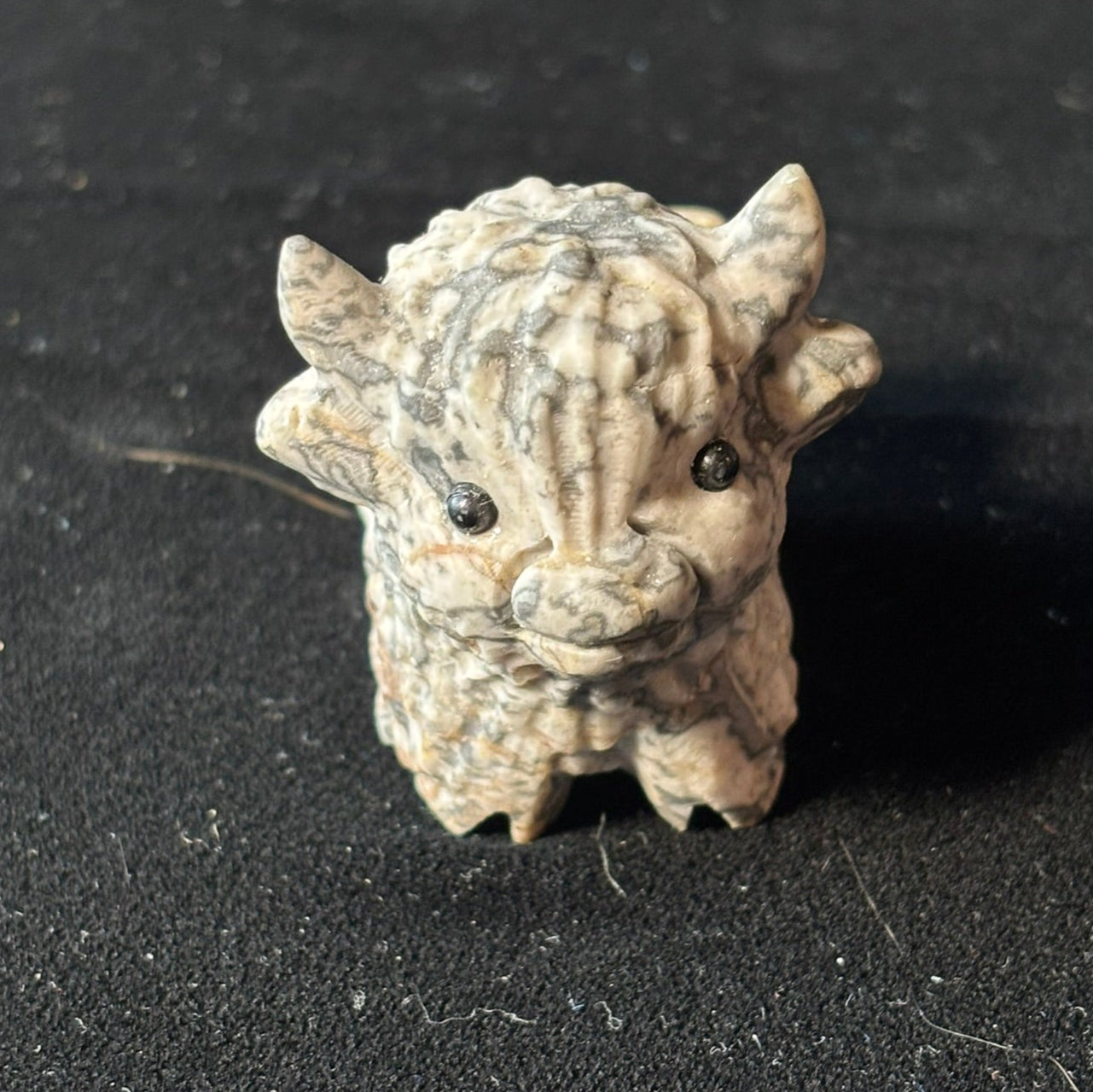 Picasso Jasper Highland Cow