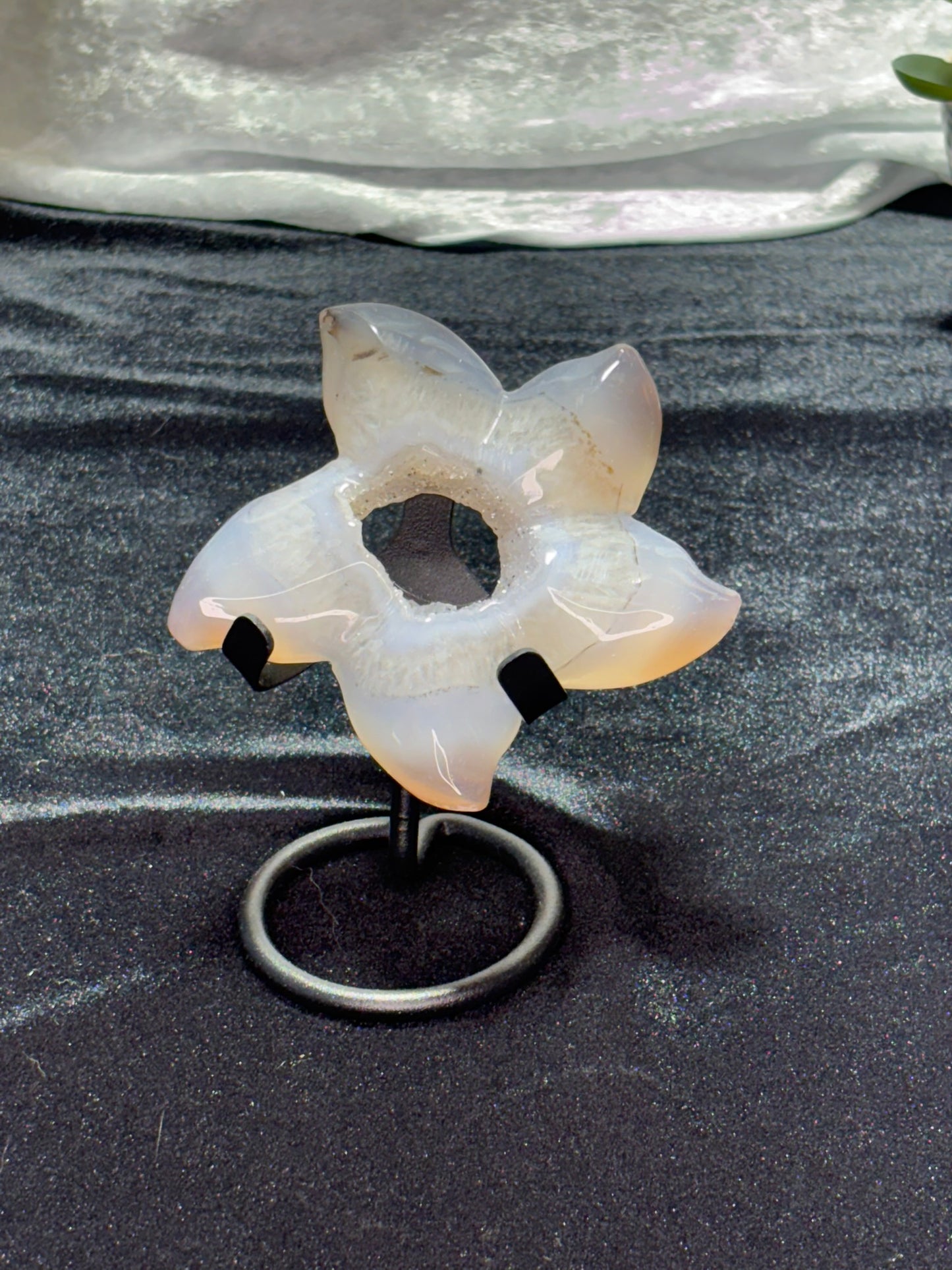 Agate Geode Starfish