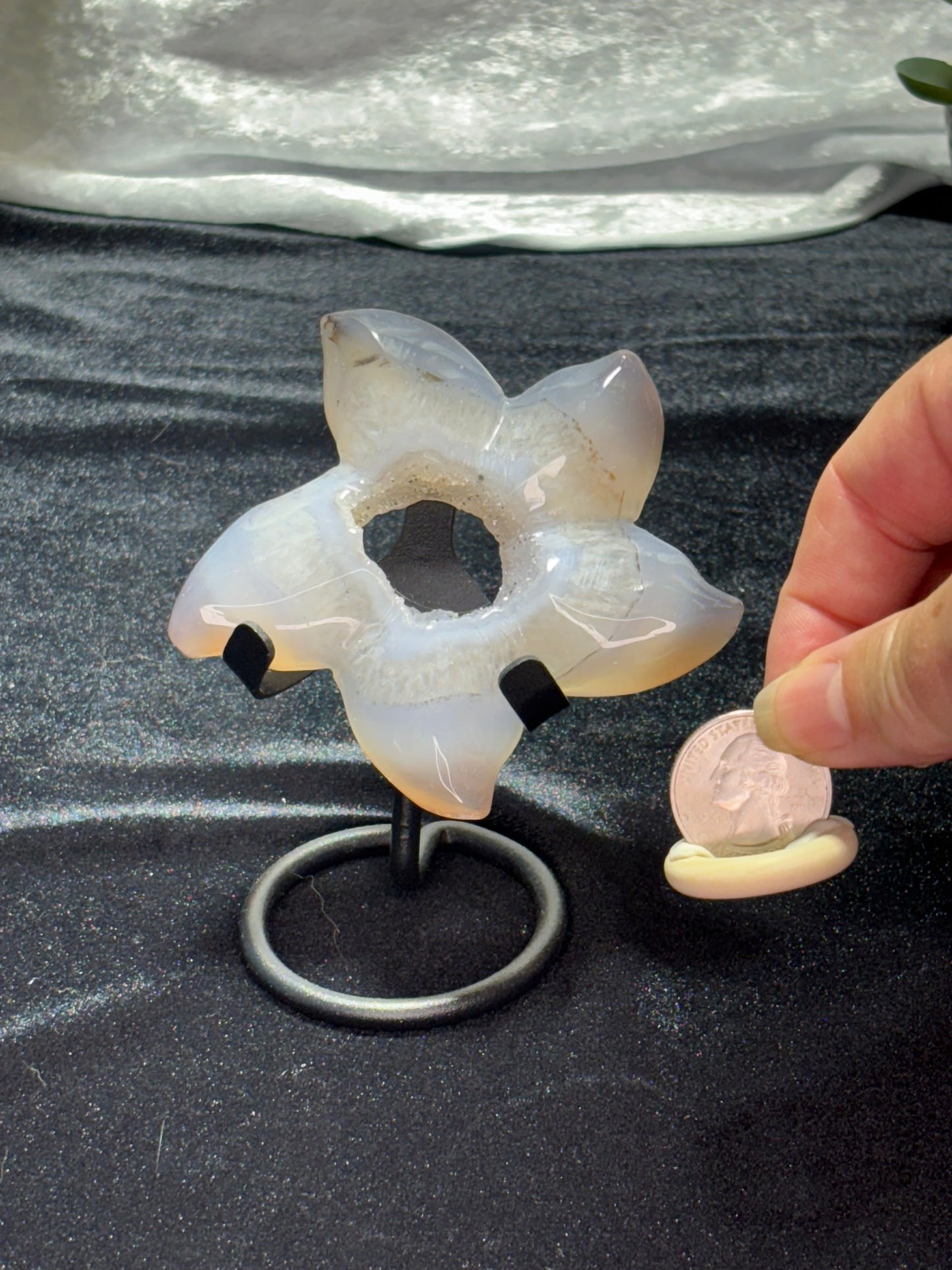 Agate Geode Starfish