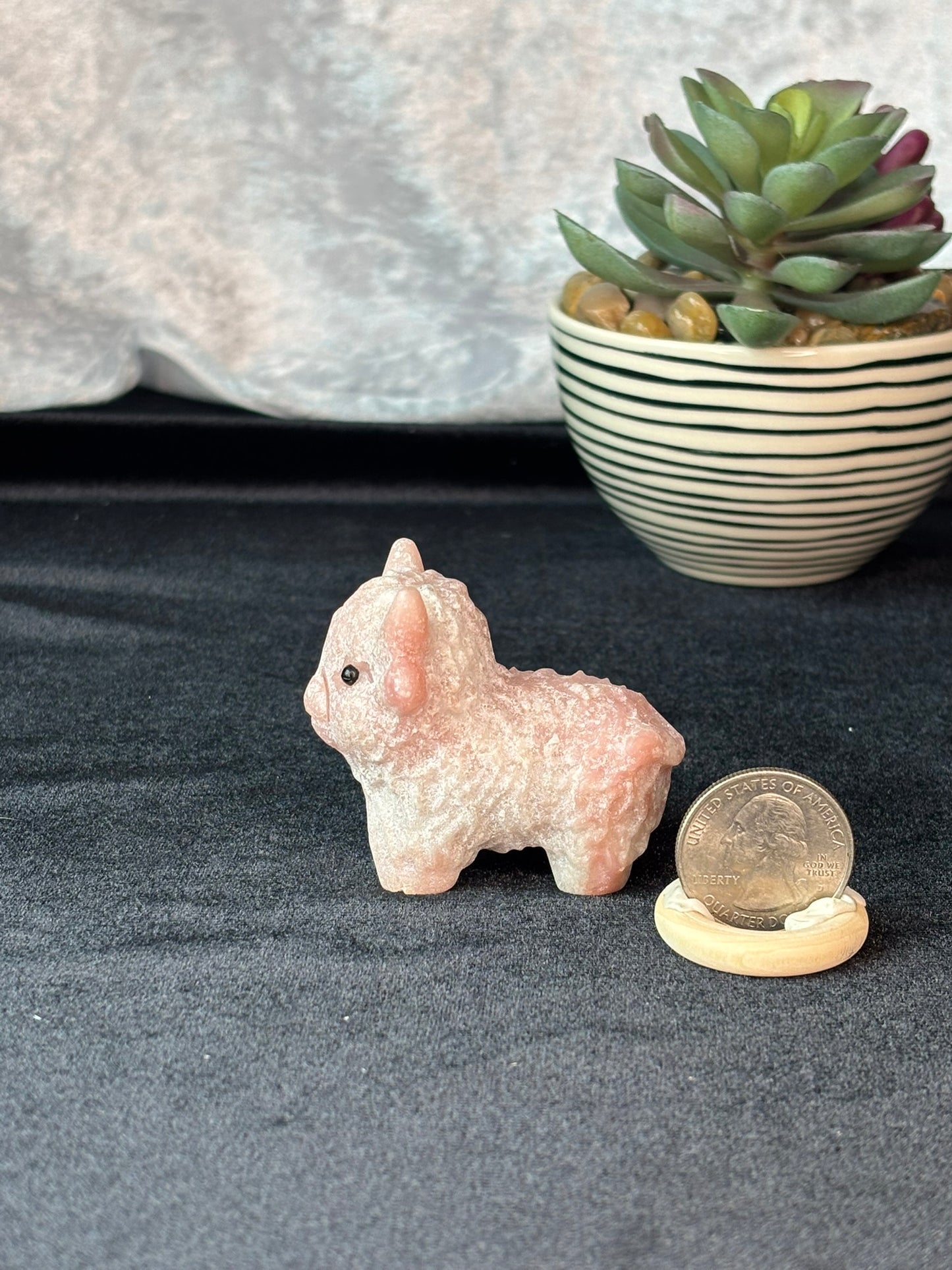 Pink Opal Highland Cow