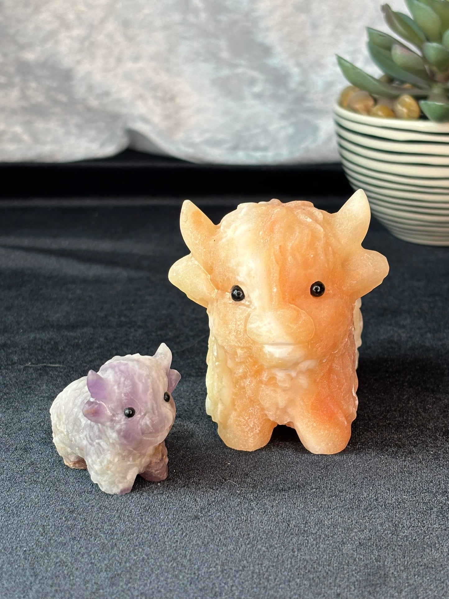 Dream Amethyst Highland Cow