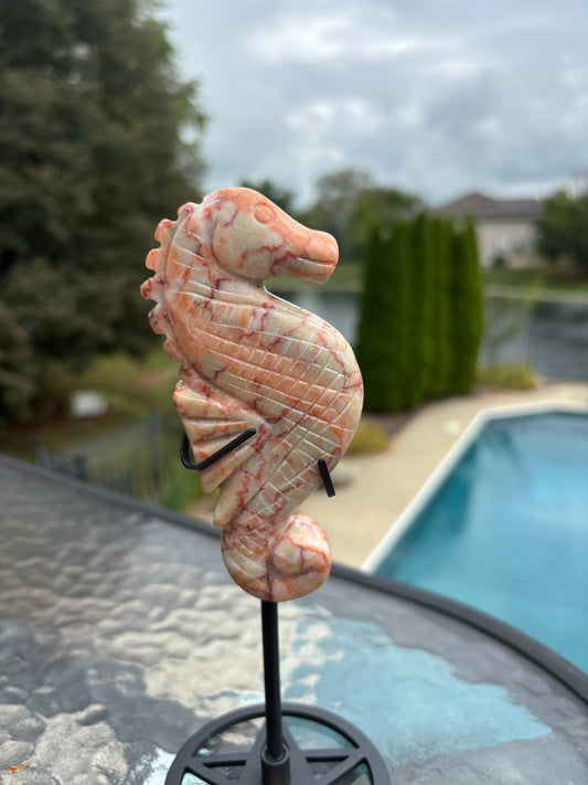 Red Network Jasper Seahorse