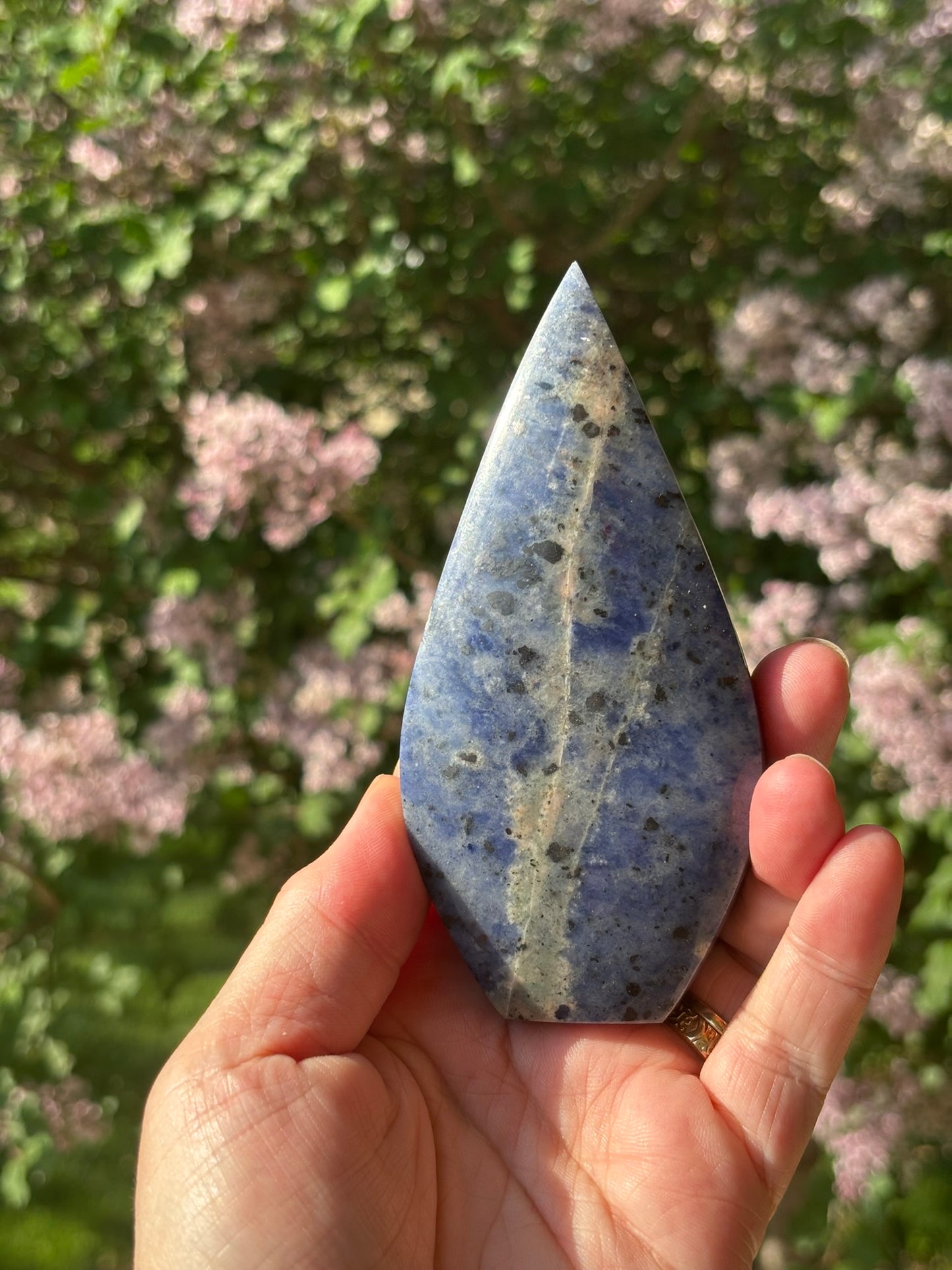 Sodalite Teardrop