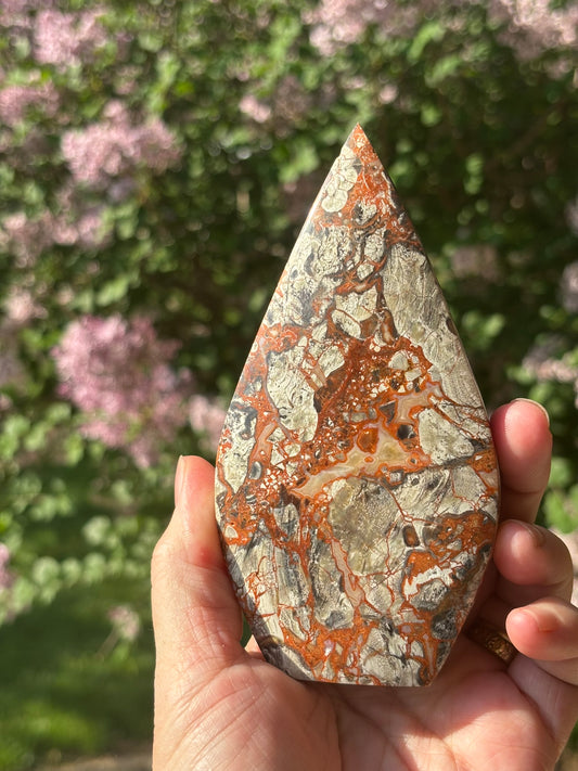 Money Agate Teardrop