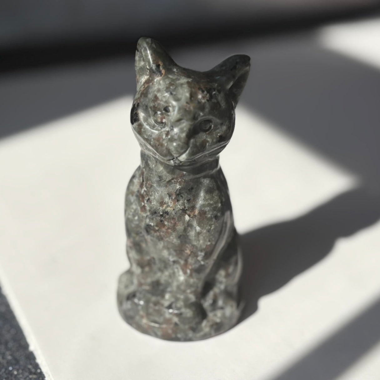 Yooperlite Sitting Cat