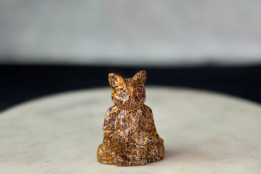 Calligraphy Jasper Meditating Cat