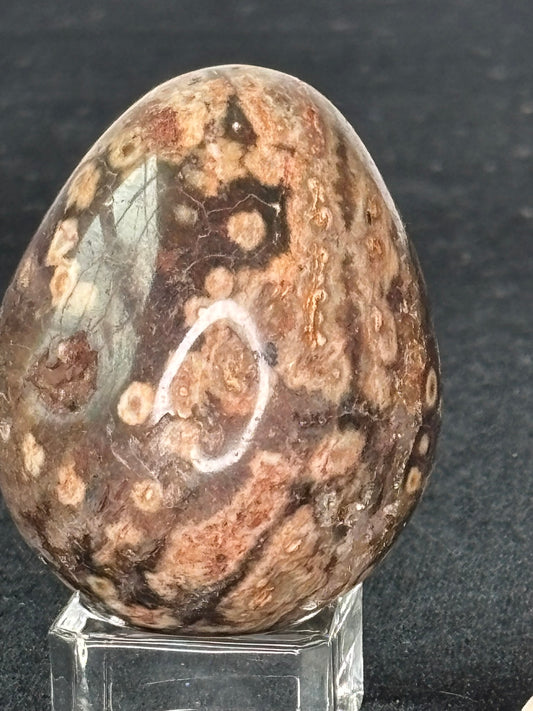 Ocean Jasper Smooth Polish Egg