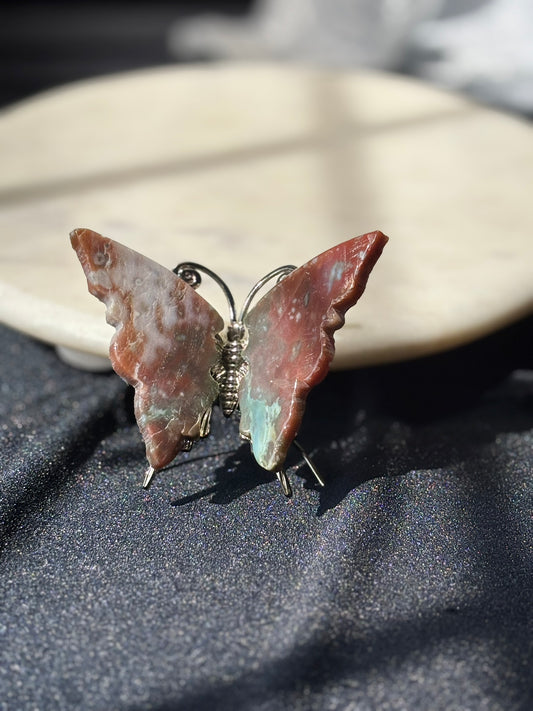 Ocean Jasper Butterfly