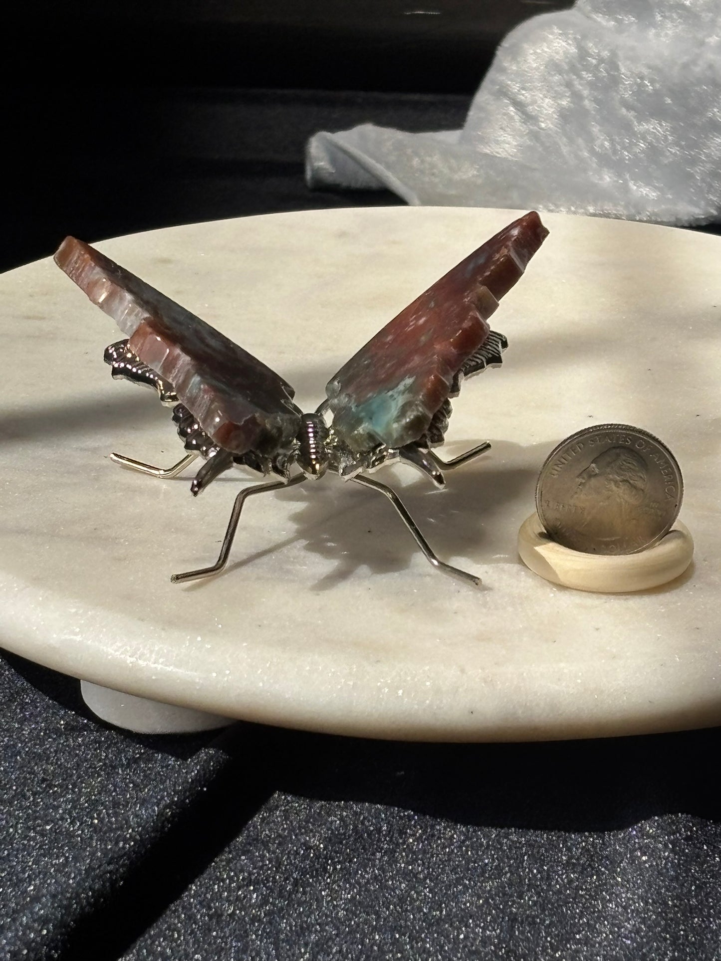 Ocean Jasper Butterfly