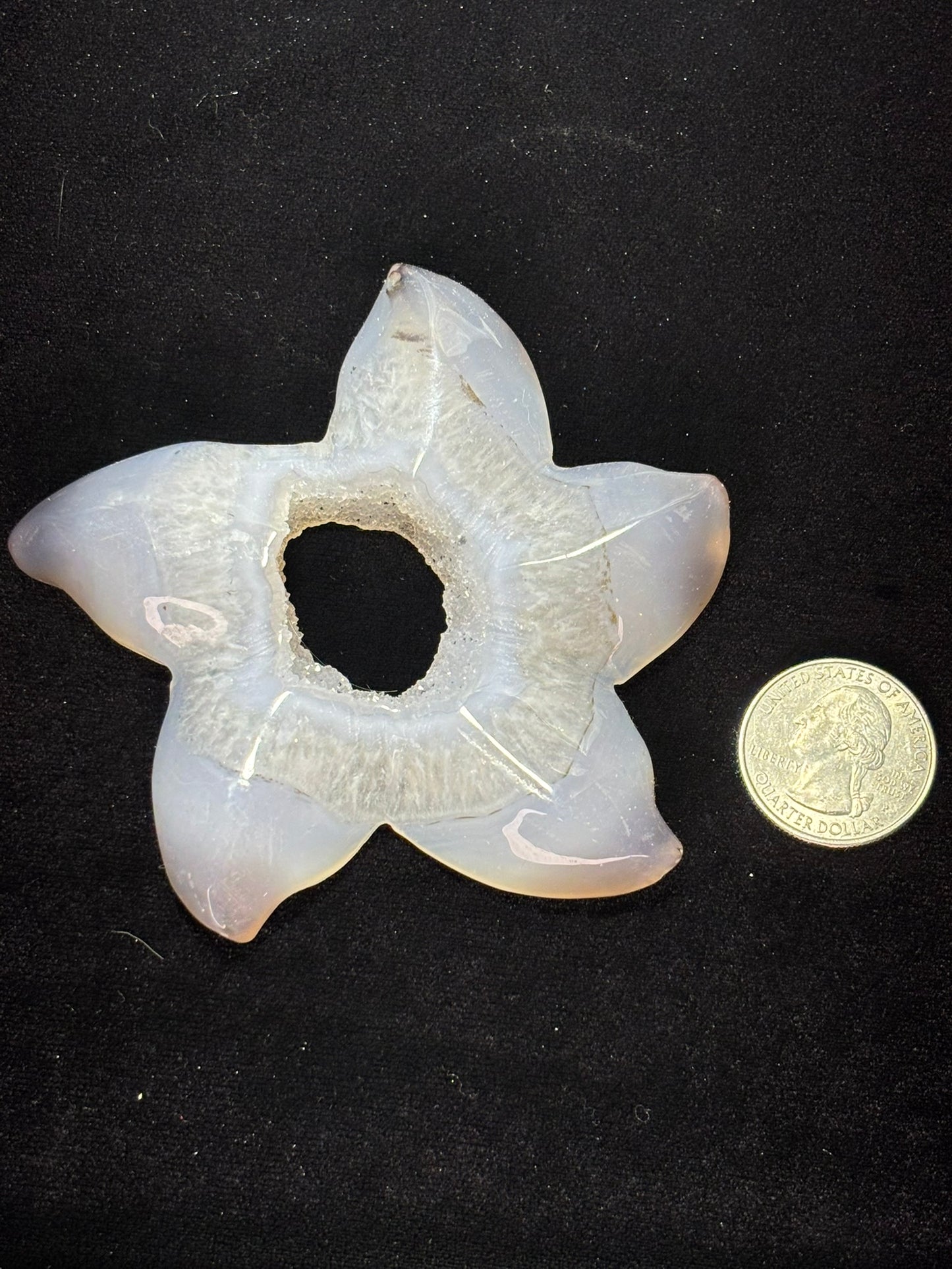 Agate Geode Starfish