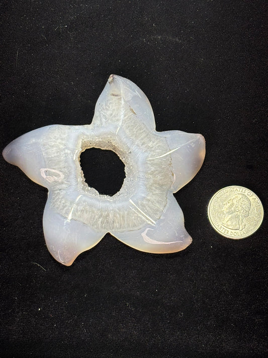 Agate Geode Starfish