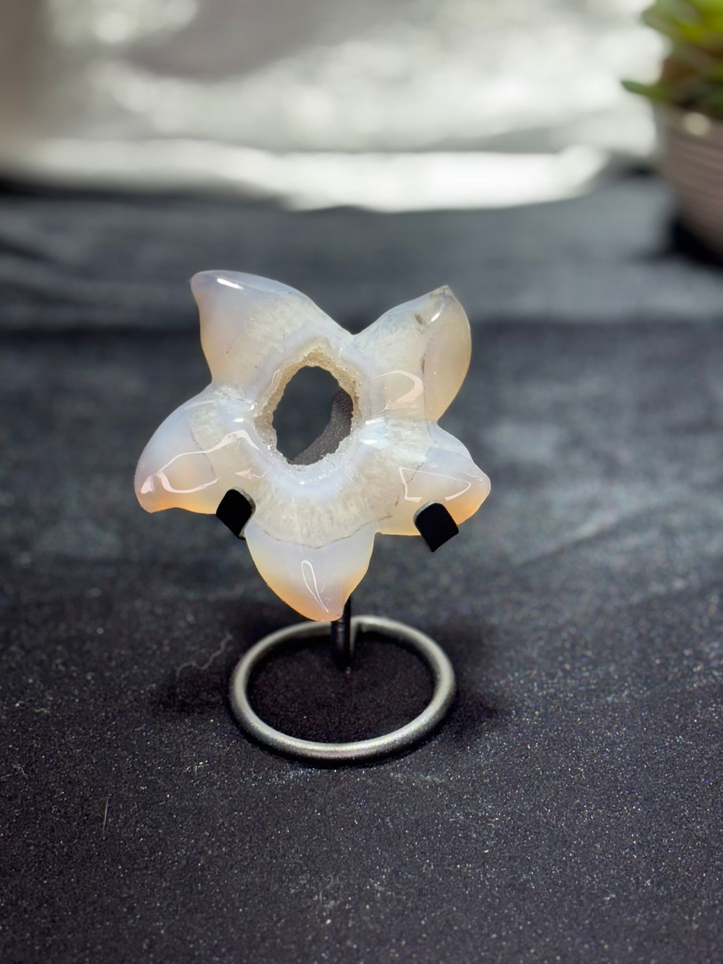 Agate Geode Starfish