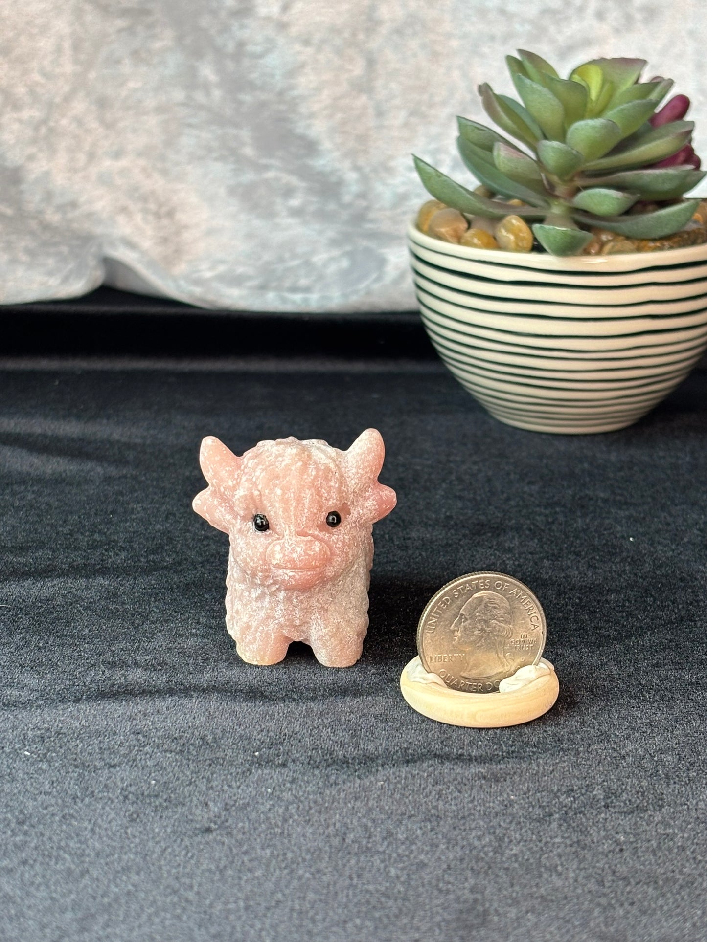 Pink Opal Highland Cow