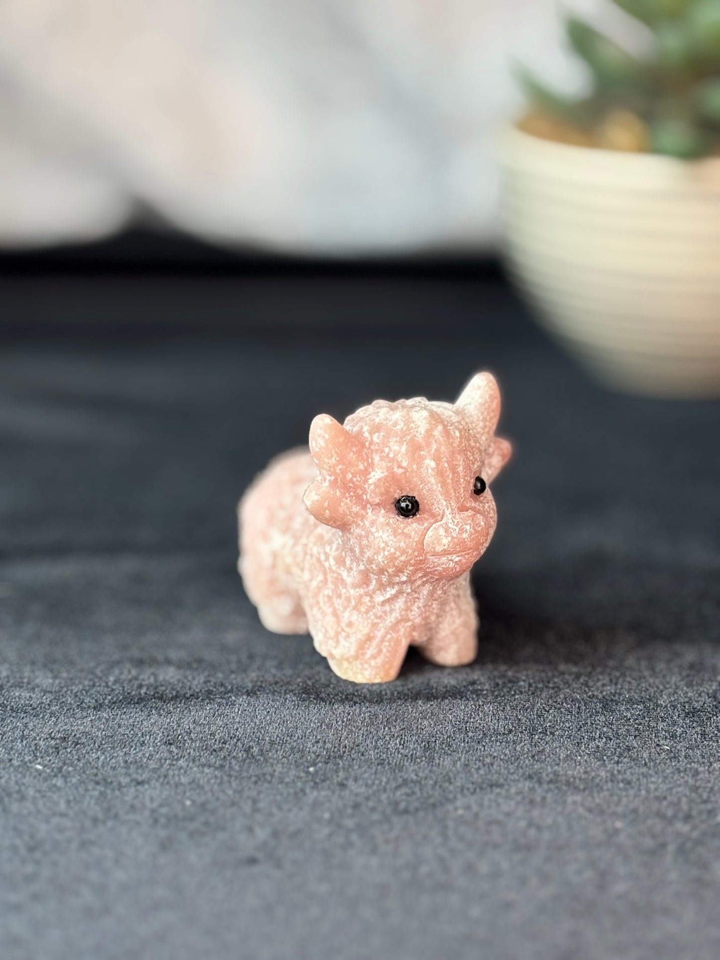 Pink Opal Highland Cow