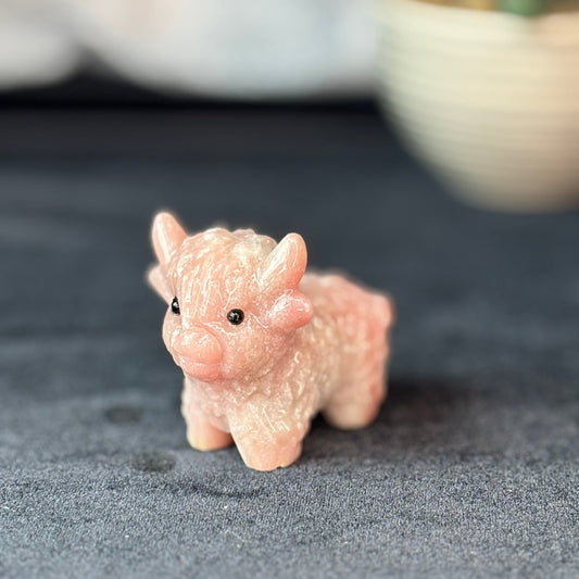 Pink Opal Highland Cow