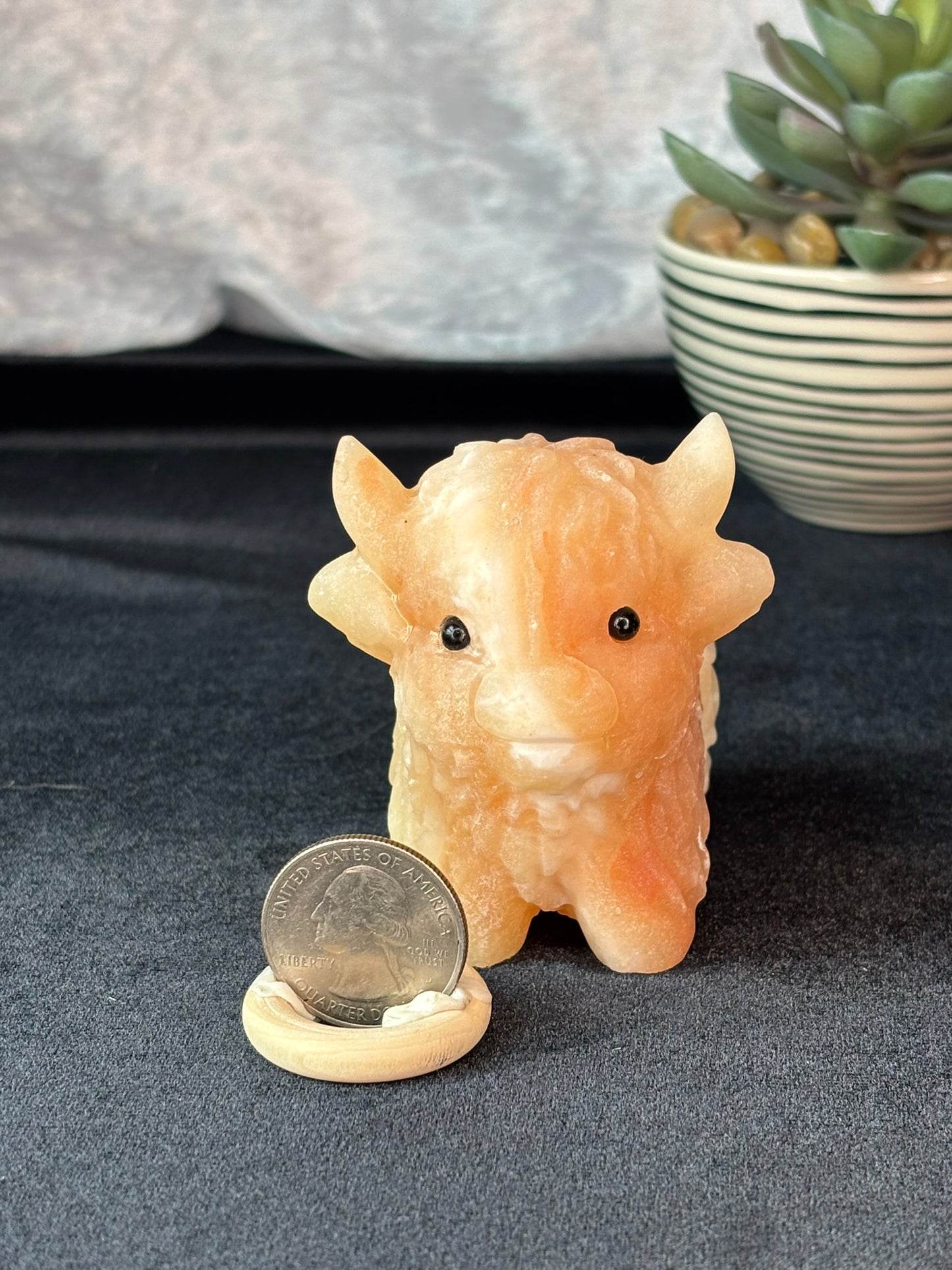 Orange Calcite Highland Cow