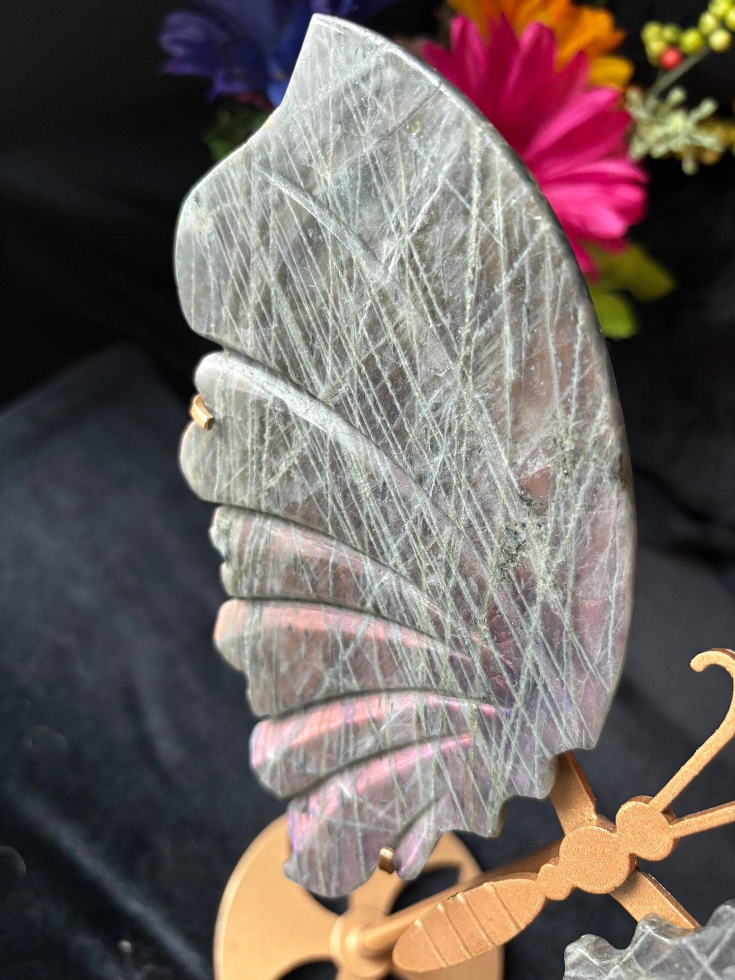 Purple Flash Labradorite Wings