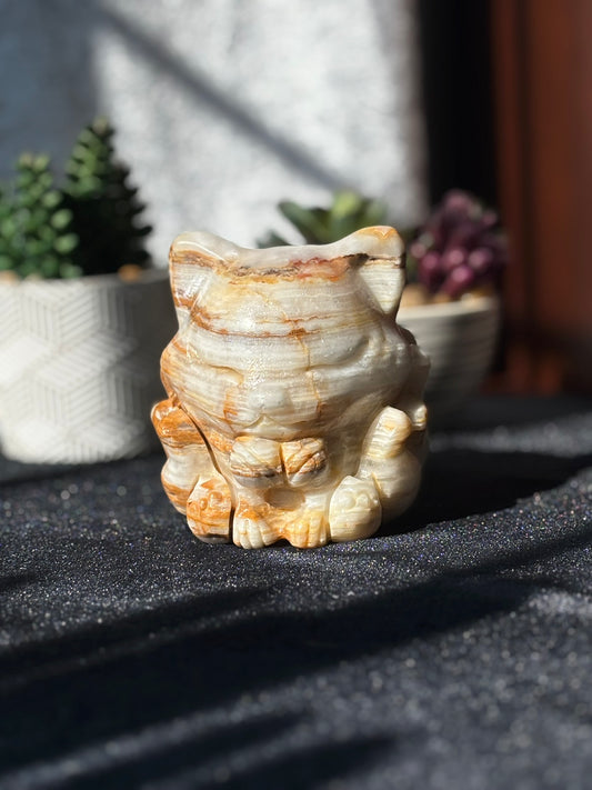 Afghan Jade 9 Tail Fox